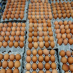 Fresh Chicken Eggs