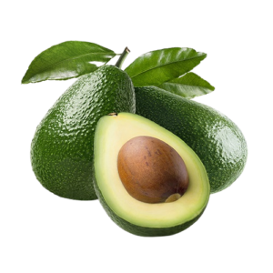Fresh Avocado Fruits