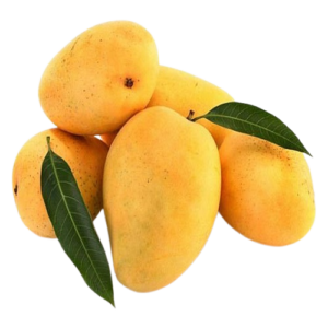 Fresh Mango Fruits