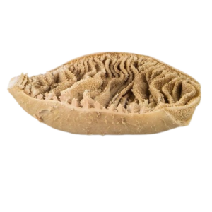 Halal Fresh Frozen Beef Omasum